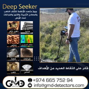 deep-seeker-detector-2023-ar (3)