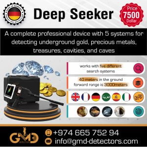 deep-seeker-detector-2023-en (1)