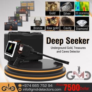 deep-seeker-detector-2023-en (2)