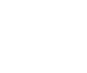 diamond-detectors